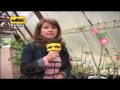 En este vídeo, el Dr. P. M. Gibert, presenta a la Ing. Liz Otazú quién nos hablará acerca de los ciuidados en las orquídeas, específicamente en el Adenio o Rosa del Desierto.
