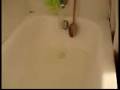 videos de Save the Water!