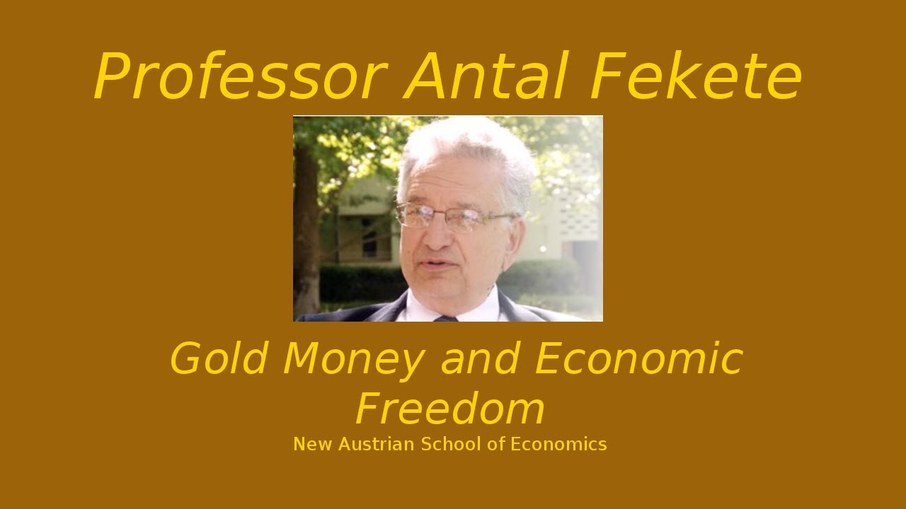 Part 11 - Antal Fekete - Gold's role in finance and the theory of interest II