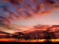 Zbigniew Preisner - L'Aurore (Dawn)