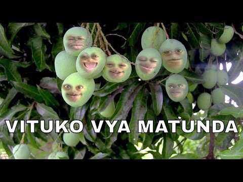 Safari ya Mau Mpemba na Mihogo inaendelea hapa-Mambo Sio mchezo