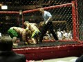 Midget Fight in the Octagon