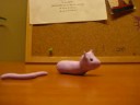 stop motion ~ clay cat
