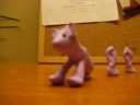 stop motion ~ clay cat