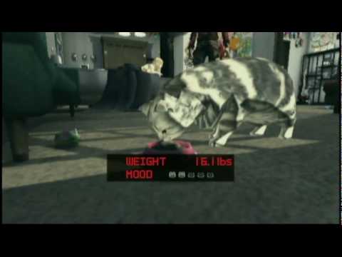 No More Heroes 2 : Desperate Struggle