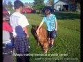 Magic the Mini, WindChill Legacy, Ltd.'s ambassador of educa