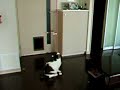 ハニービー動画