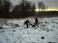 V�cvik obrany - dog attack training