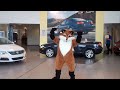 Meet Ferdinand the Fox