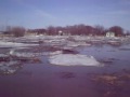 Ice jam.  Presa de hielo 2009 Riverton, MB
