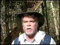 The Amazon Diaries, The Original