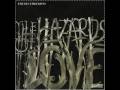 the Decemberists - the hazards of love 3 - (15 of 17)