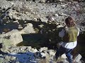 Pesca a mosca seca. Alta Monta�a de Arag�n