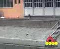 Eddy Matzger Skates Dusseldor