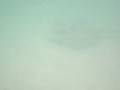 videos de Whitehaeven Beach Stingray