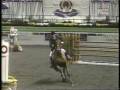 Peter Pletcher: TurnMaster!