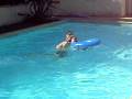 videos de alerte a malibu