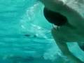 videos de UWGP6.MP4