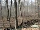 Click here to watch this video More Hiking!