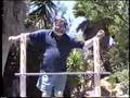 Limbo Rock Legends