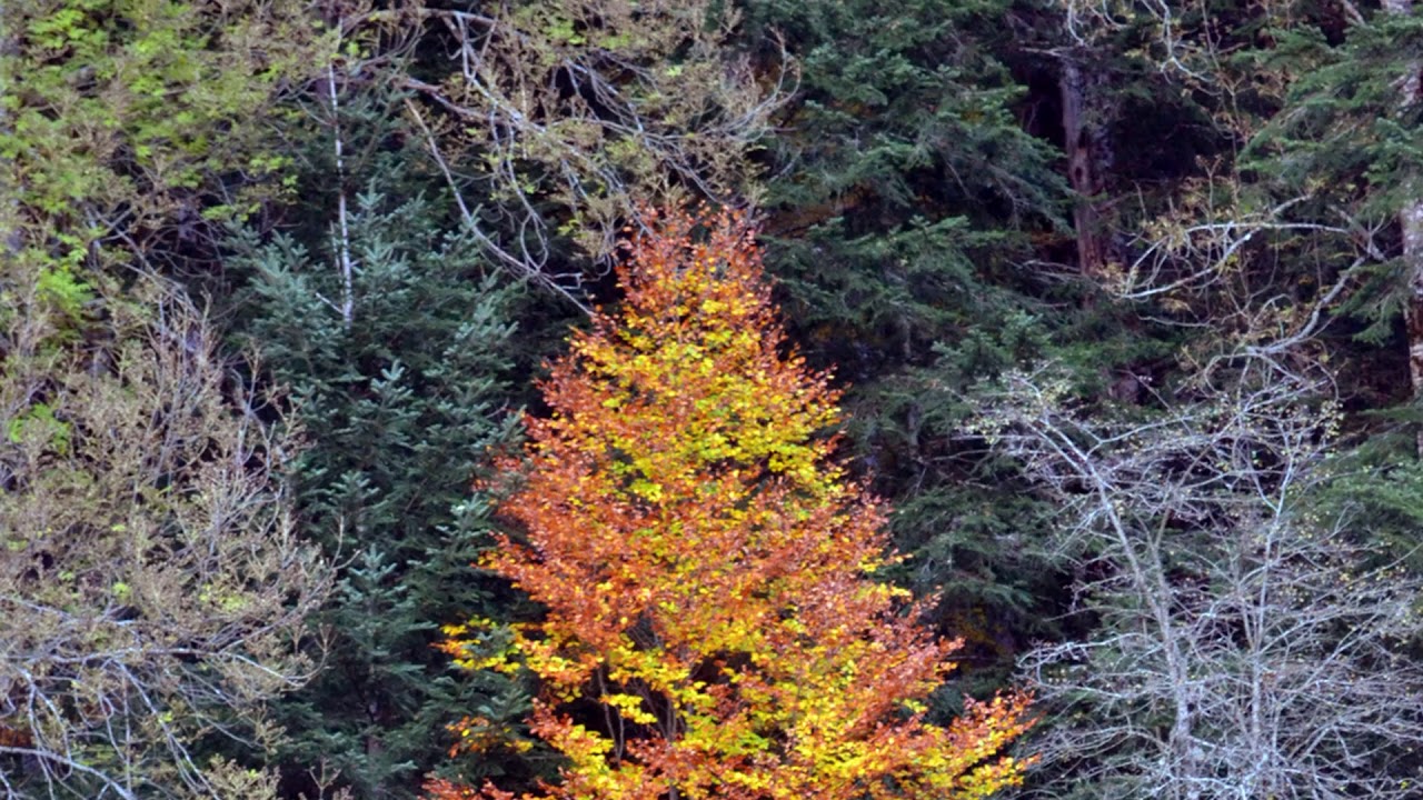 Ernesto Cortazar. Hiden beauty.