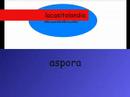 eurocajon lacasitolandia eurocajon lacasitolandia