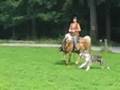 Jack und Jitano