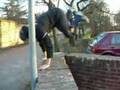 parkour e free running a faenza