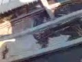 shoeb farshori raju nasim boating in yamuna river new deldi