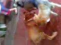 Mayllow & Sanddy *-*