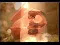 How It's Made Fresh cut flowers