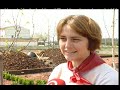 Click here to watch this video jardin de las naciones EL PUIG-Valencia España