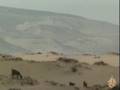 submitted by muqadam on Mon May 21 2012 at 11:30am