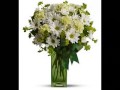 Hanukkah Flowers Delivery by Broadway Florists