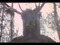 videos de The Knights Of Ni
