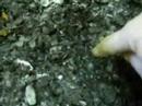 Gasifier (downdraft), Internal Examination Video part 2 of 3