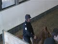 Mohican cso juin2008 avec jf 0001