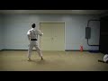 Cape Fear Isshin-Ryu: Wansu Kata