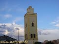 nadornet: nador nador nador nador 2005/2007