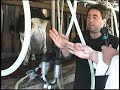 Goat Cheese! From Milking Goats to Making Goat Cheese! Goat Cheese! From Milking Goats to Making Goat Cheese!
