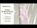 Voir la Vidéo