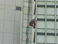 French spiderman scales new heights