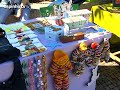 CIRCUNST�NCIAS 2008 - Espinho