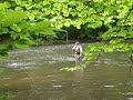 5 17 09 ramapo river 2