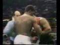 Mike Tyson vs James Tillis