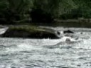 Ron swims the chute