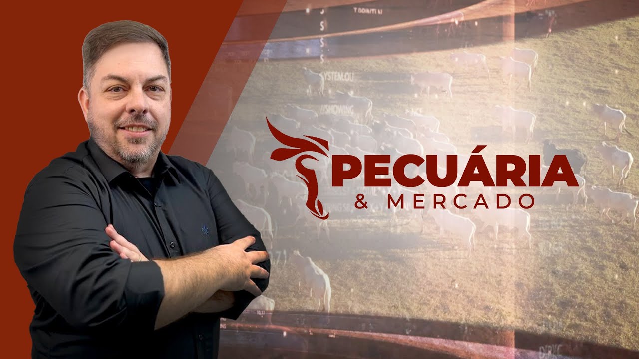Pecuária E Mercado - Edição 05-06-2025