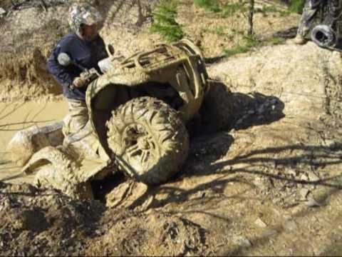 quad - Quadvideo.