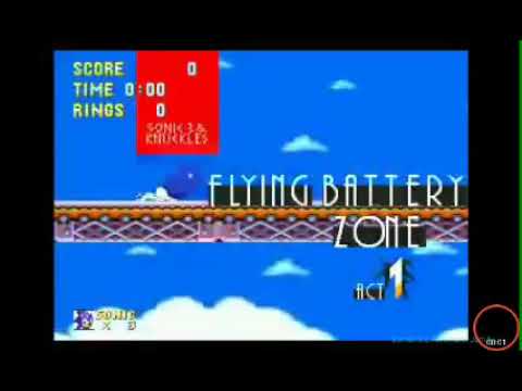 動画