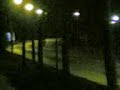 blote bil flits in de maten